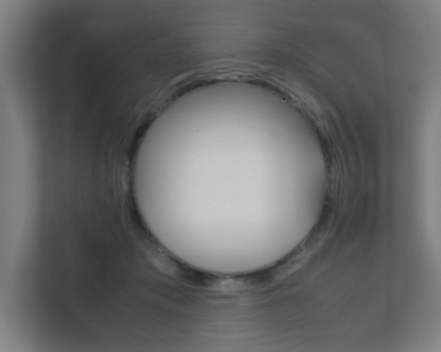 X0000111850413200907231103