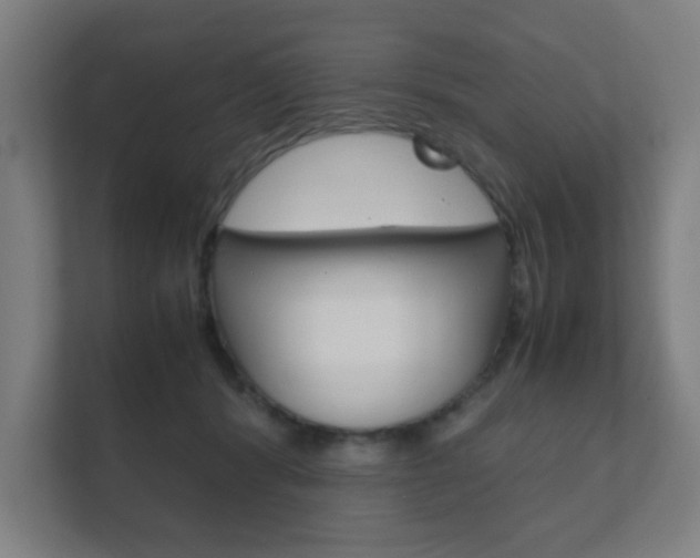 X0000111850416200907231103