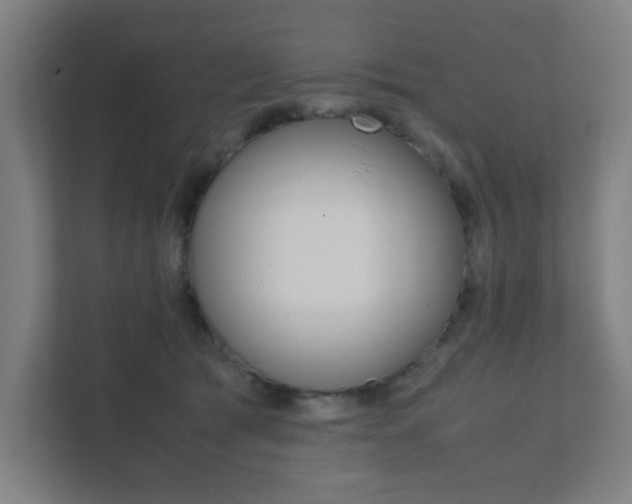 X0000111850417200907231103