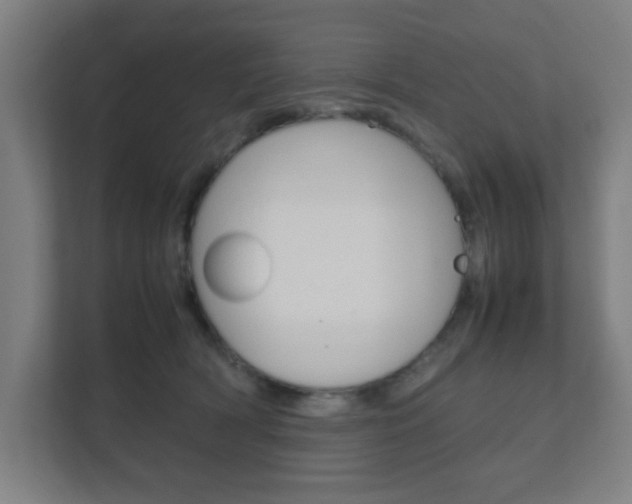 X0000111850418200907231103