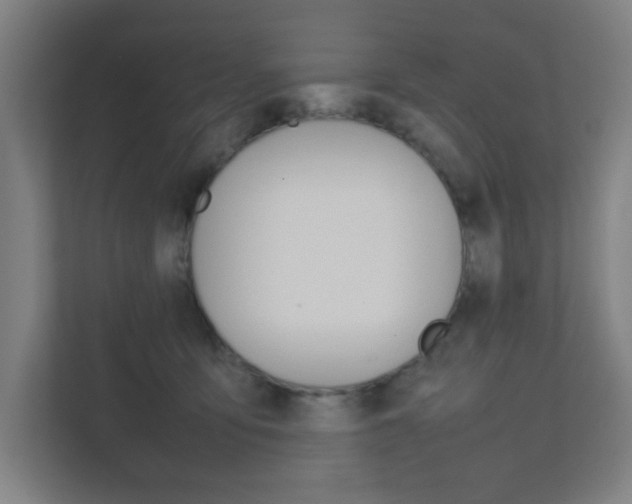 X0000111850419200907231103