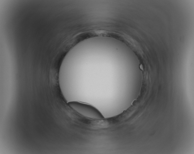 X0000111850421200907231103