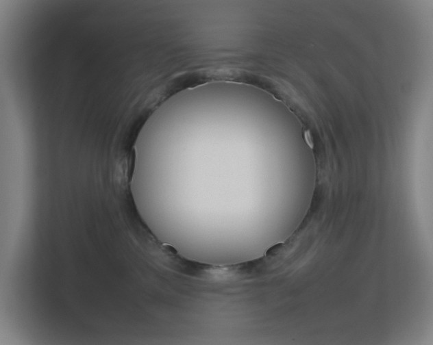 X0000111850425200907231103