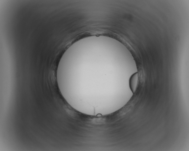 X0000111850426200907231103