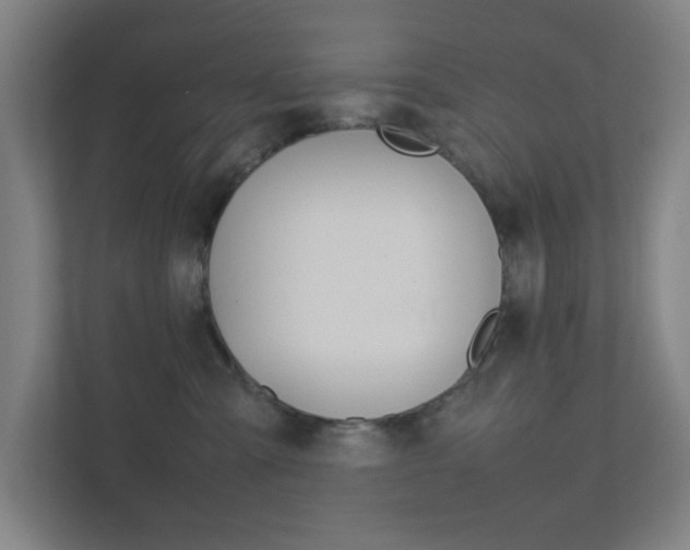 X0000111850427200907231103