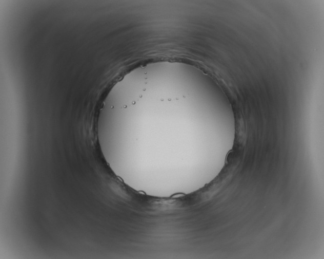 X0000111850428200907231103