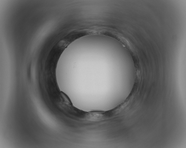 X0000111850429200907231103