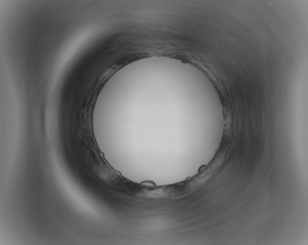 X0000111850430200907231103
