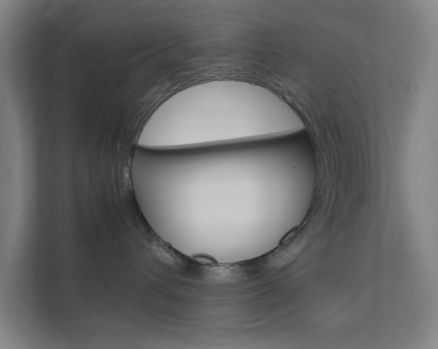 X0000111850432200907231103