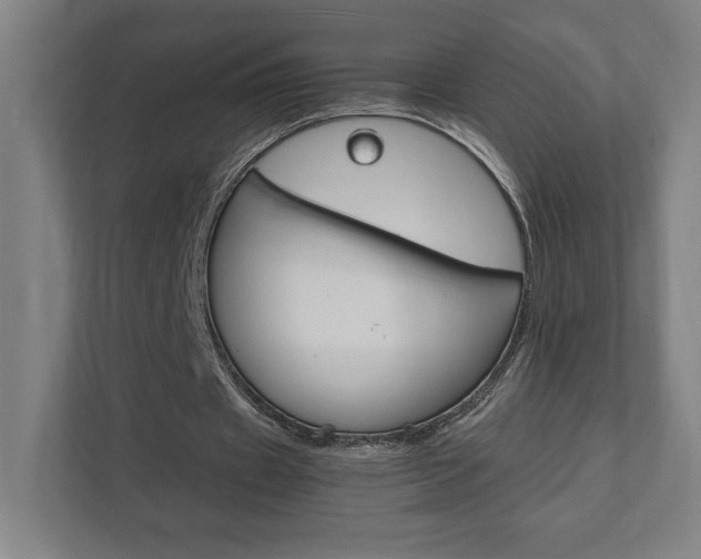 X0000111850433200907231103
