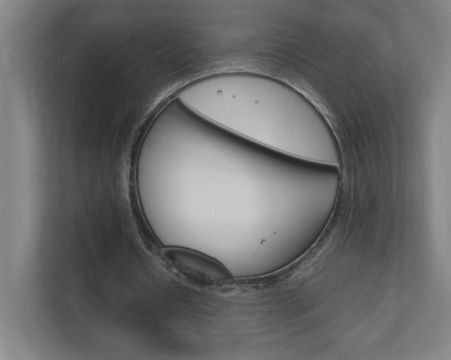 X0000111850434200907231103