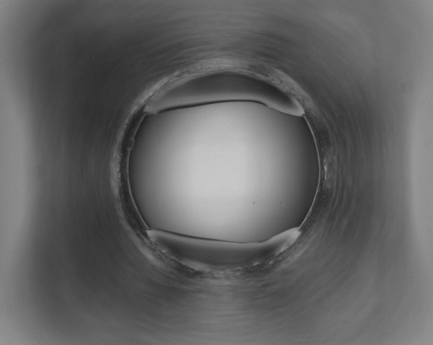 X0000111850436200907231103