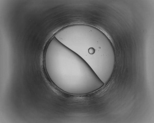 X0000111850437200907231103