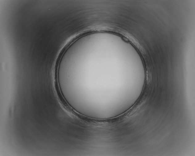 X0000111850438200907231103