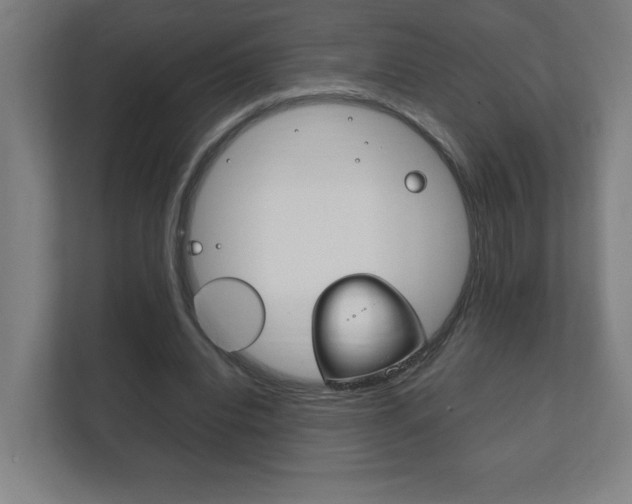 X0000111850440200907231103