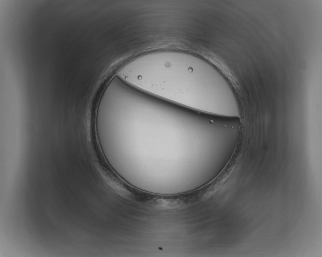 X0000111850442200907231103
