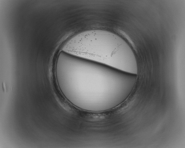 X0000111850443200907231103
