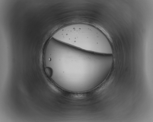 X0000111850445200907231103
