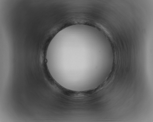 X0000111850451200907231103