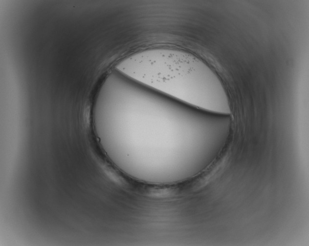 X0000111850454200907231103