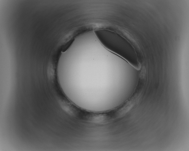 X0000111850456200907231103