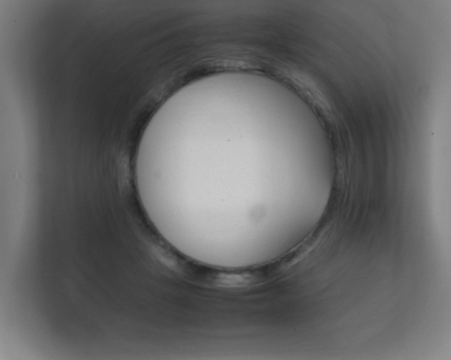 X0000111850457200907231103