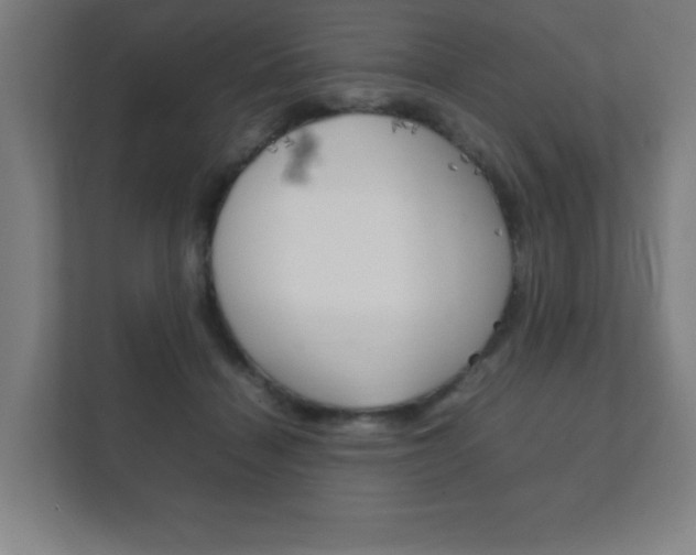 X0000111850460200907231103
