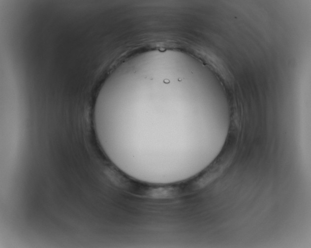 X0000111850461200907231103
