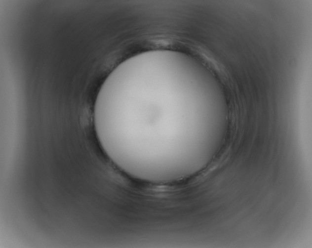 X0000111850467200907231103