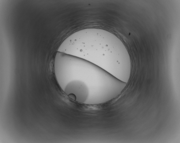 X0000111850475200907231103