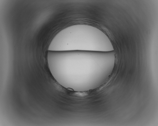 X0000111850477200907231103
