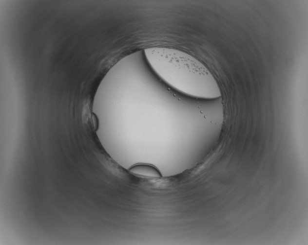 X0000111850478200907231103