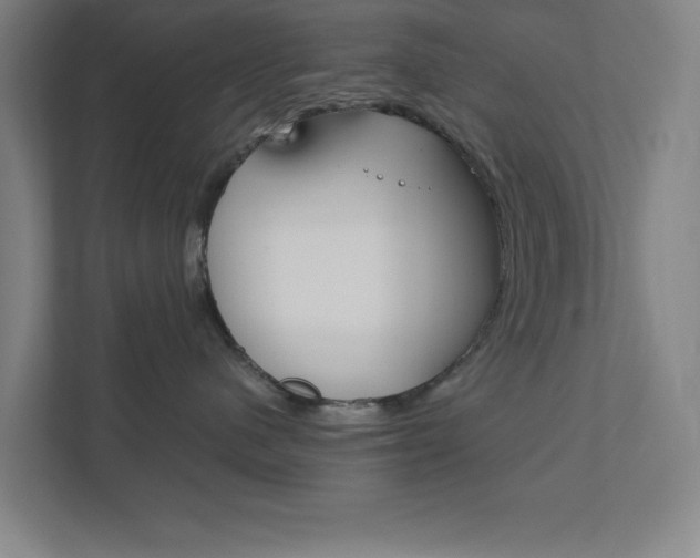 X0000111850480200907231103