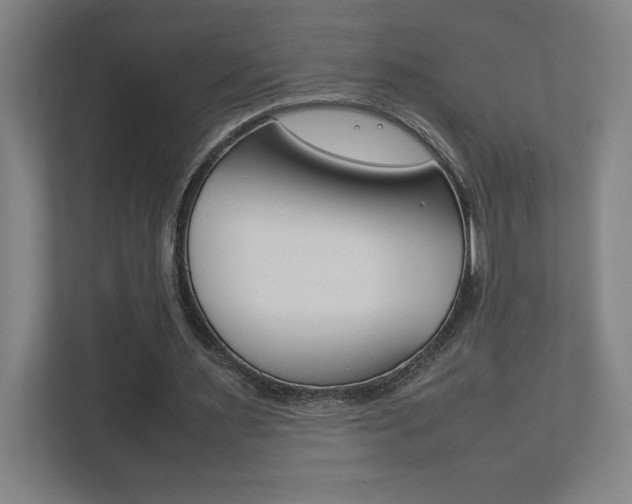 X0000111850483200907231103