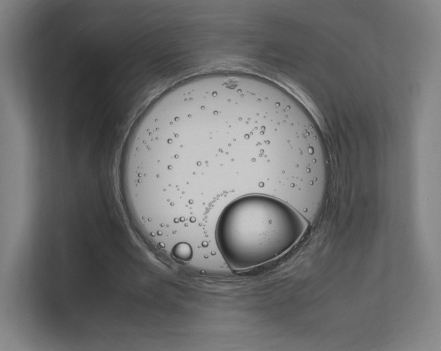 X0000111850485200907231103
