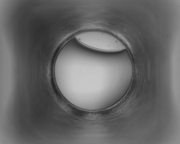 X0000111850487200907231103