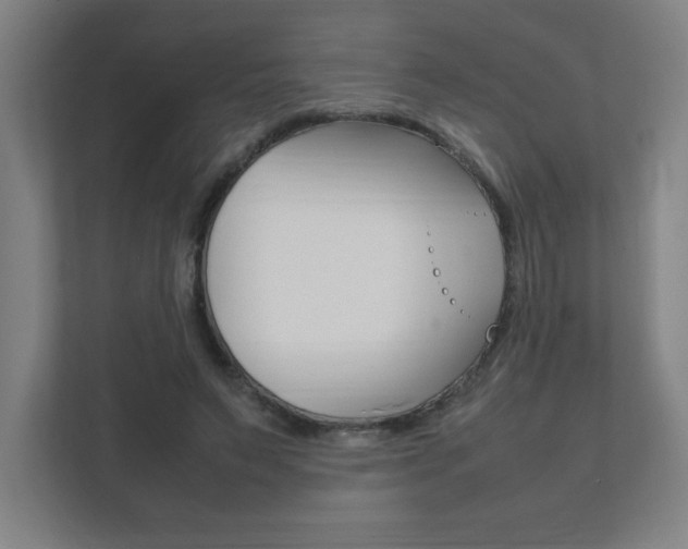 X0000111850495200907231102