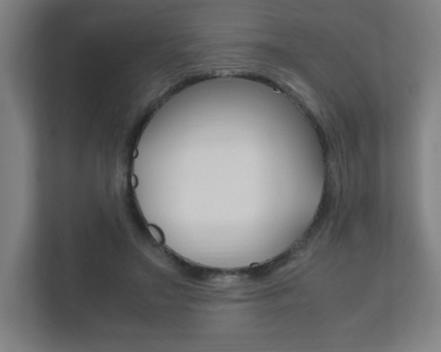 X0000111850499200907231102