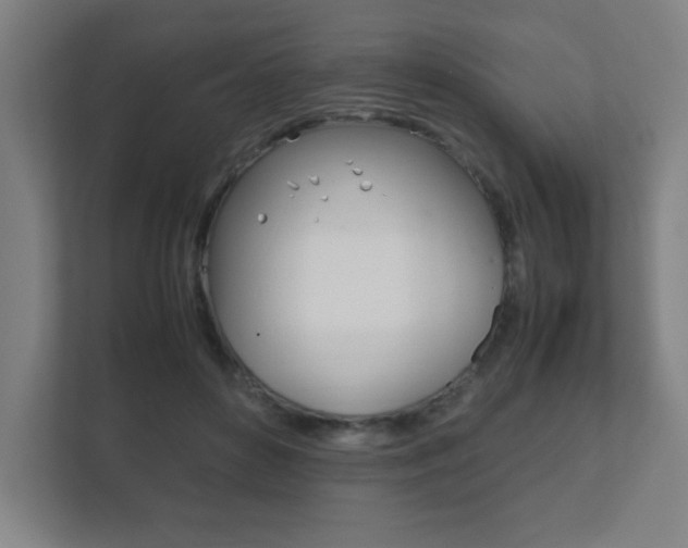 X0000111850504200907231102