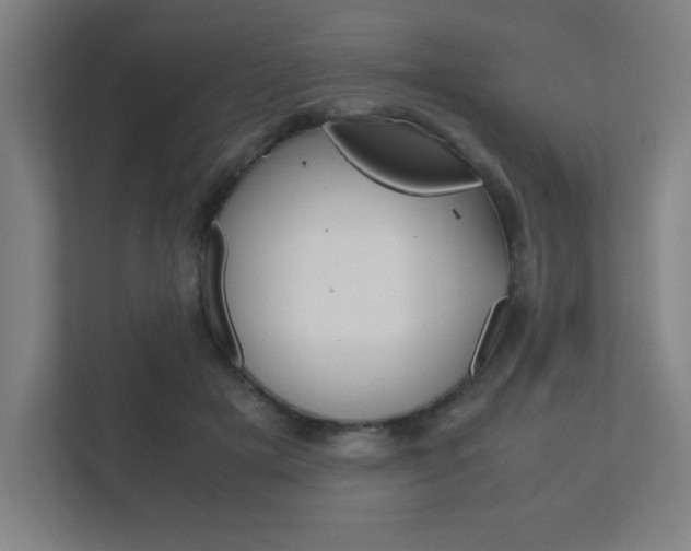 X0000111850505200907231102