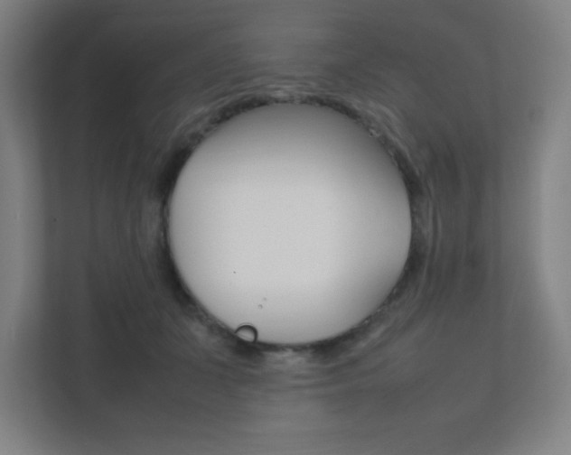 X0000111850511200907231102