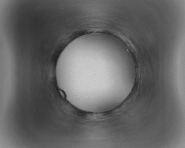 X0000111850517200907231102