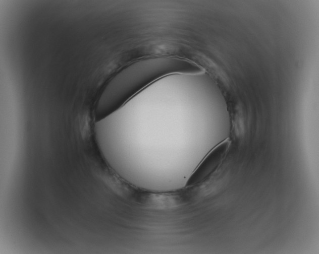 X0000111850520200907231102