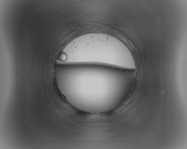 X0000111850521200907231102