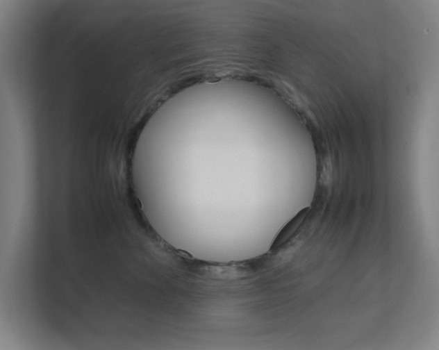 X0000111850524200907231102