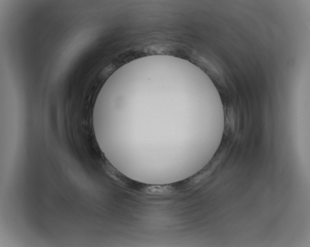 X0000111850526200907231102