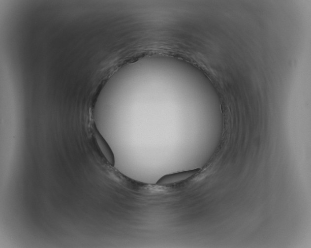 X0000111850528200907231102