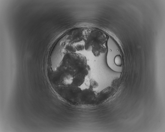 X0000111850529200907231101