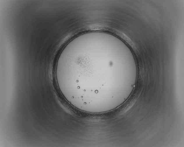 X0000111850530200907231101