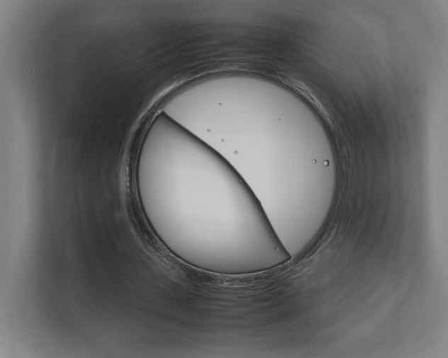 X0000111850531200907231101